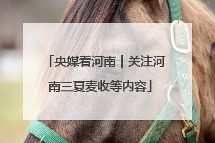 央媒看河南｜关注河南三夏麦收等内容