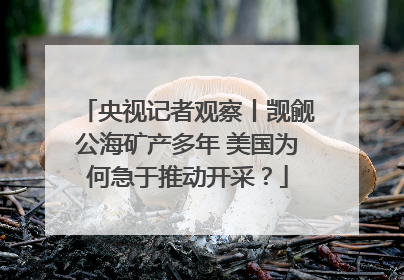 央视记者观察丨觊觎公海矿产多年 美国为何急于推动开采？