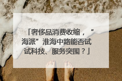 奢侈品消费收缩，“海派”淮海中路能否试试科技、服务突围？