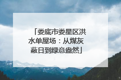 娄底市娄星区洪水单屋场：从煤灰蔽日到绿意盎然