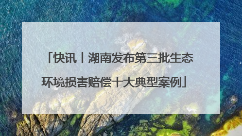 快讯丨湖南发布第三批生态环境损害赔偿十大典型案例