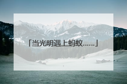 当光明遇上蚂蚁……