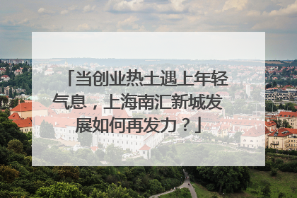 当创业热土遇上年轻气息，上海南汇新城发展如何再发力？