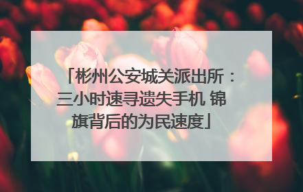 彬州公安城关派出所：三小时速寻遗失手机 锦旗背后的为民速度