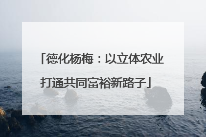 德化杨梅：以立体农业打通共同富裕新路子