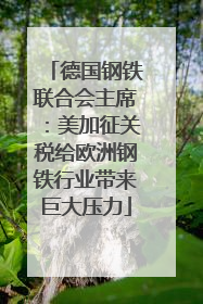 德国钢铁联合会主席：美加征关税给欧洲钢铁行业带来巨大压力