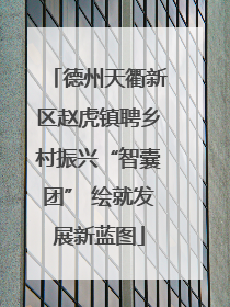 德州天衢新区赵虎镇聘乡村振兴“智囊团” 绘就发展新蓝图