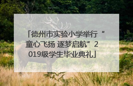 德州市实验小学举行“童心飞扬 逐梦启航”2019级学生毕业典礼