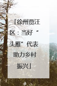 徐州贾汪区：当好“头雁”代表 助力乡村振兴
