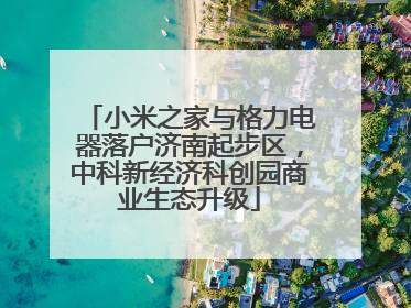 小米之家与格力电器落户济南起步区，中科新经济科创园商业生态升级