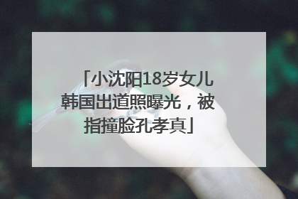 小沈阳18岁女儿韩国出道照曝光，被指撞脸孔孝真