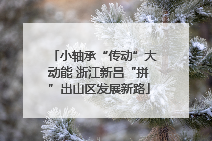 小轴承“传动”大动能 浙江新昌“拼”出山区发展新路