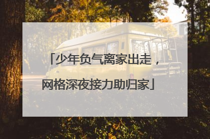 少年负气离家出走，网格深夜接力助归家
