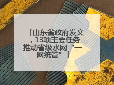山东省政府发文，13项主要任务推动省级水网“一网统管”