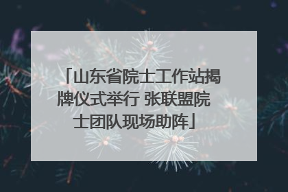 山东省院士工作站揭牌仪式举行 张联盟院士团队现场助阵