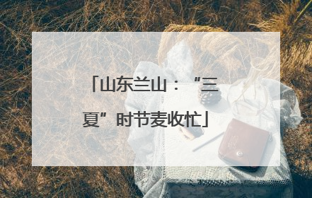 山东兰山：“三夏”时节麦收忙