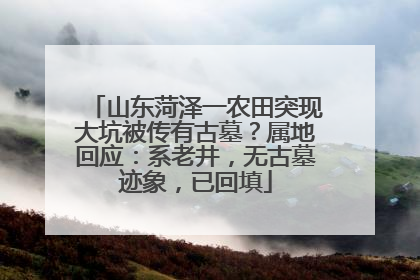 山东菏泽一农田突现大坑被传有古墓？属地回应：系老井，无古墓迹象，已回填