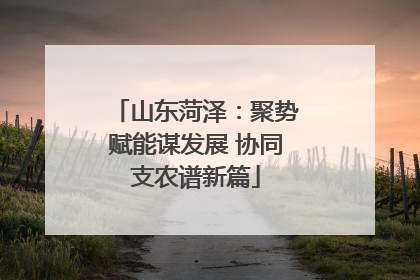 山东菏泽：聚势赋能谋发展 协同支农谱新篇
