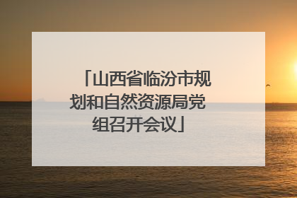 山西省临汾市规划和自然资源局党组召开会议