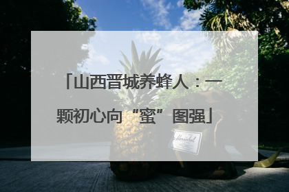 山西晋城养蜂人：一颗初心向“蜜”图强