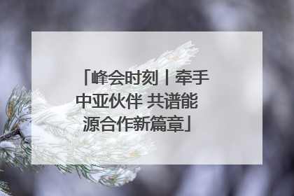 峰会时刻丨牵手中亚伙伴 共谱能源合作新篇章