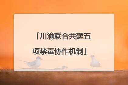 川渝联合共建五项禁毒协作机制