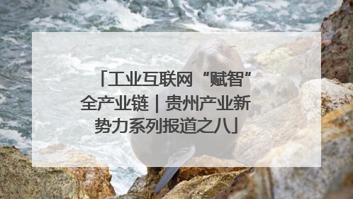 工业互联网“赋智”全产业链｜贵州产业新势力系列报道之八