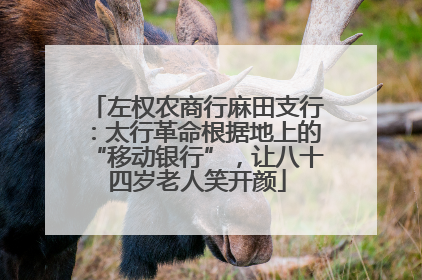 左权农商行麻田支行：太行革命根据地上的“移动银行”，让八十四岁老人笑开颜