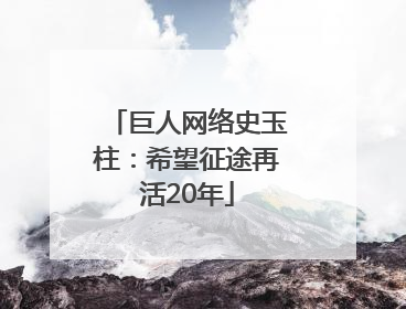巨人网络史玉柱：希望征途再活20年