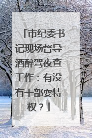 市纪委书记现场督导酒醉驾夜查工作：有没有干部耍特权？