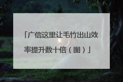 广信这里让毛竹出山效率提升数十倍（图）