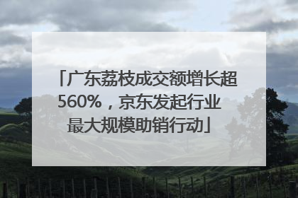 广东荔枝成交额增长超560%，京东发起行业最大规模助销行动