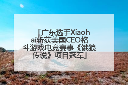 广东选手Xiaohai斩获美国CEO格斗游戏电竞赛事《饿狼传说》项目冠军