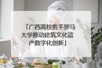 广西高校携手罗马大学推动建筑文化遗产数字化创新