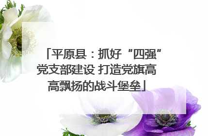 平原县：抓好“四强”党支部建设 打造党旗高高飘扬的战斗堡垒