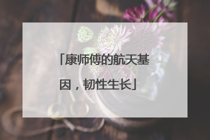 康师傅的航天基因，韧性生长