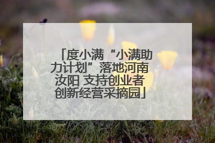度小满“小满助力计划”落地河南汝阳 支持创业者创新经营采摘园