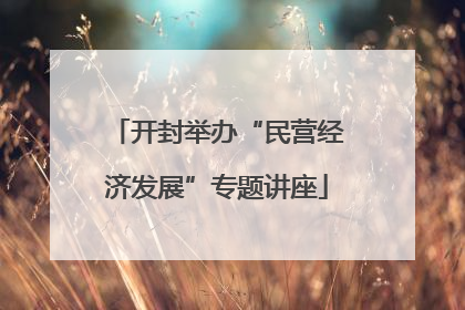 开封举办“民营经济发展”专题讲座