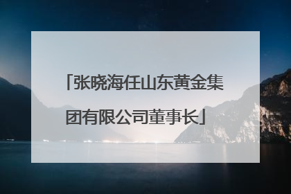 张晓海任山东黄金集团有限公司董事长