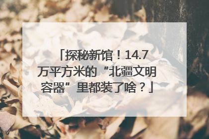 探秘新馆！14.7万平方米的“北疆文明容器”里都装了啥？