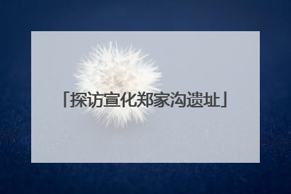 探访宣化郑家沟遗址