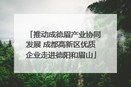 推动成德眉产业协同发展 成都高新区优质企业走进德阳和眉山
