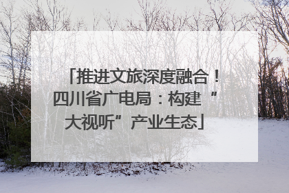 推进文旅深度融合！四川省广电局：构建“大视听”产业生态