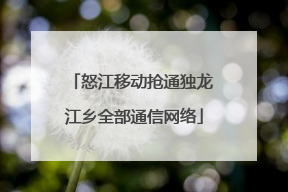 怒江移动抢通独龙江乡全部通信网络