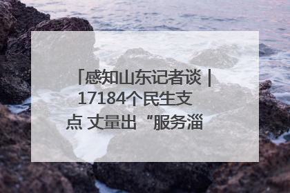 感知山东记者谈｜17184个民生支点 丈量出“服务淄博”的文明温度