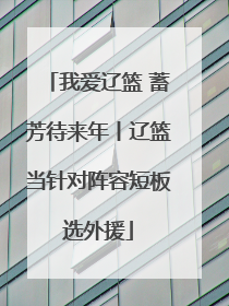 我爱辽篮 蓄芳待来年丨辽篮当针对阵容短板选外援