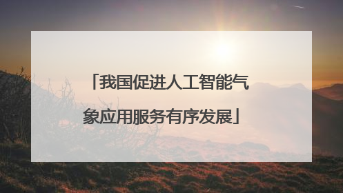 我国促进人工智能气象应用服务有序发展