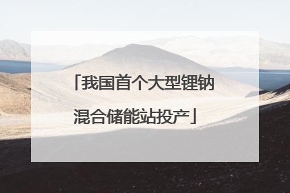我国首个大型锂钠混合储能站投产