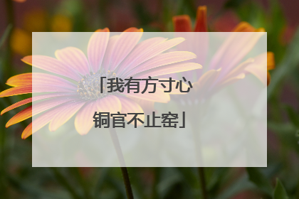 我有方寸心 铜官不止窑