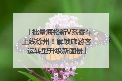 批量海格新V系客车上线徐州！解锁旅游客运转型升级新图景